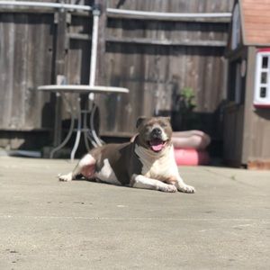 Meet your Posher, Arlette